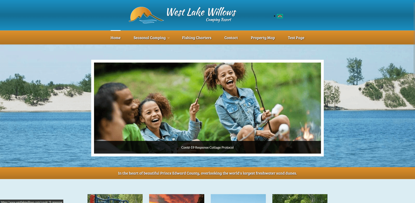 West Lake Willows